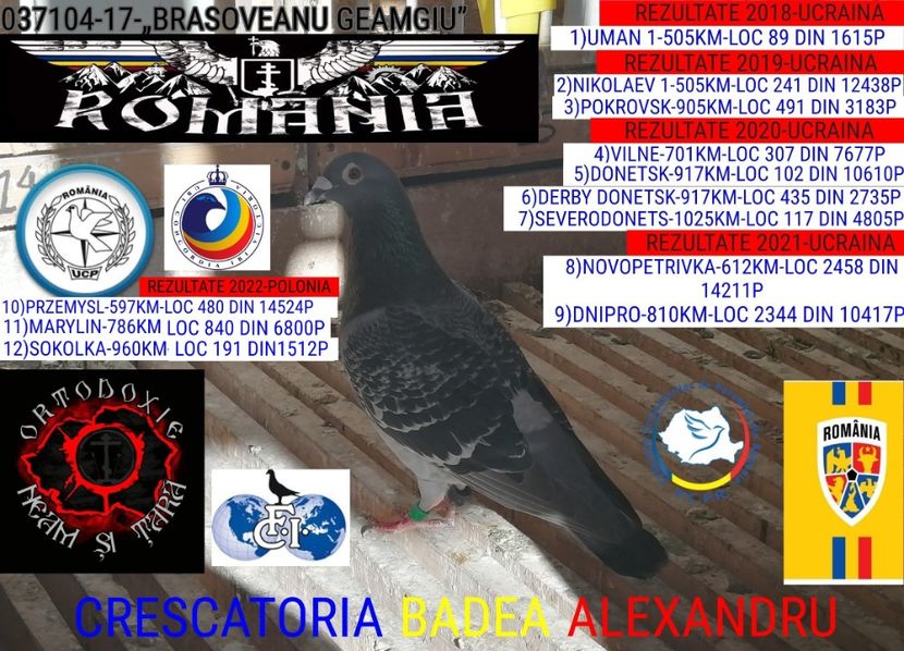 BRASOVEANU GEAMGIU-037104-17 - 2022-REZULTATE FOND-COLUMBA