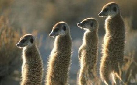 94737947_DTPEPAM-1 - sentimente and situatii and stari and trairi diverse