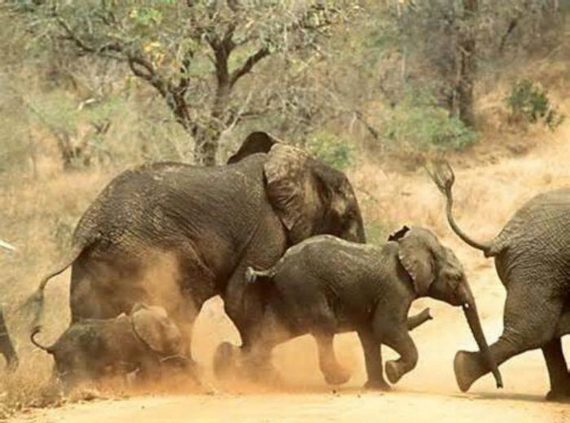 97170057_WRKLFIV3-1 - sentimente and situatii and stari and trairi diverse