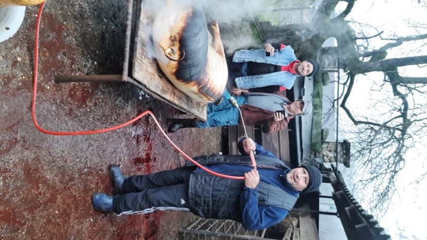  - Tăierea porcului 2023