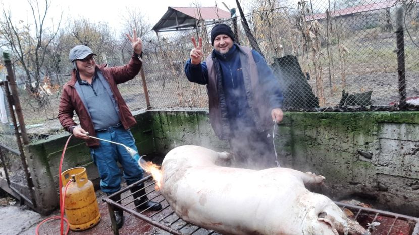  - Tăierea porcului 2023