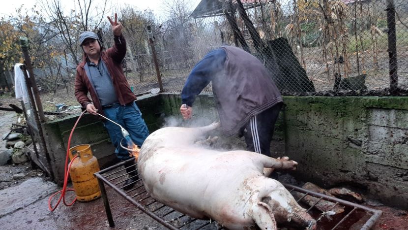  - Tăierea porcului 2023