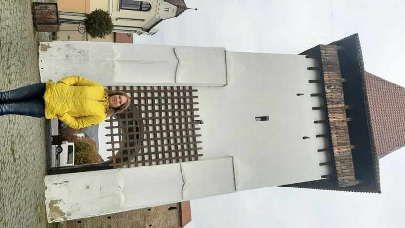  - Sighișoara 2023