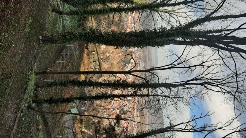  - Sighișoara 2023
