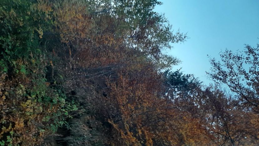  - Pe Transalpina în noiembrie 2022