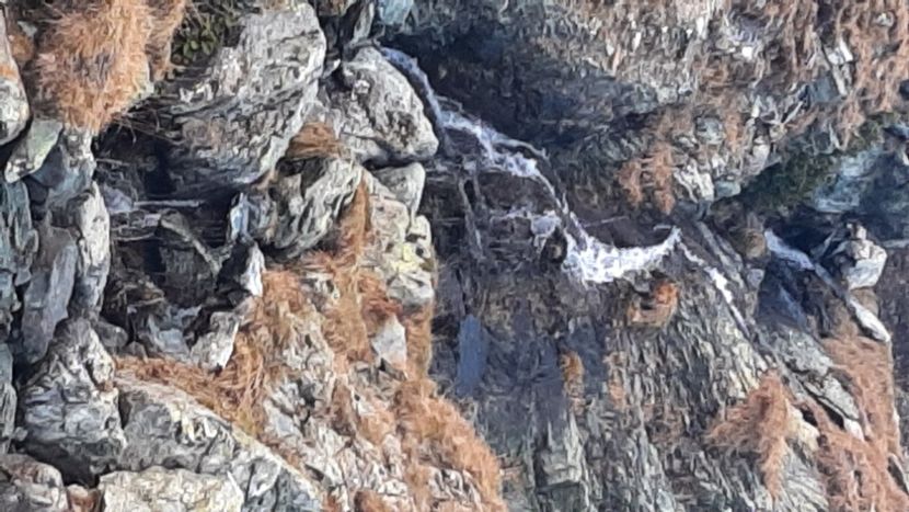  - Pe Transalpina în noiembrie 2022