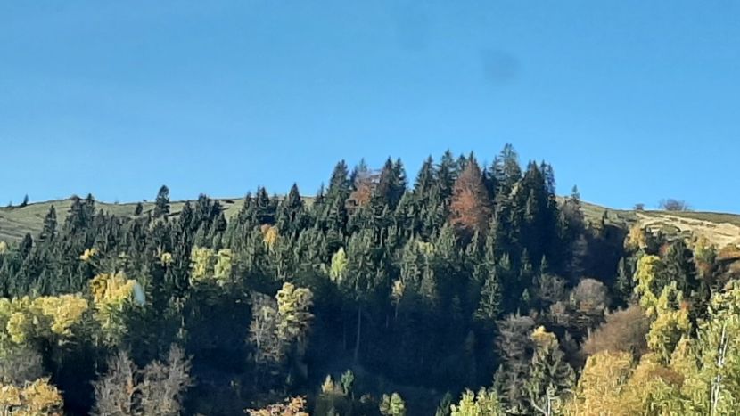  - Pe Transalpina în noiembrie 2022