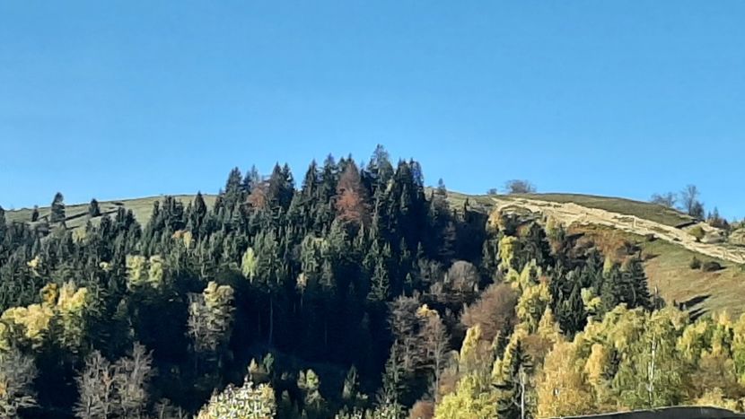  - Pe Transalpina în noiembrie 2022