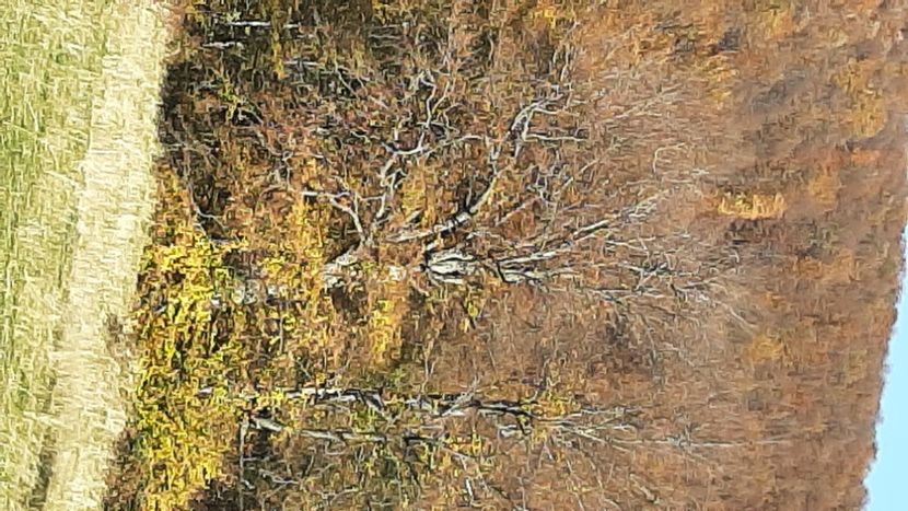  - Pe Transalpina în noiembrie 2022