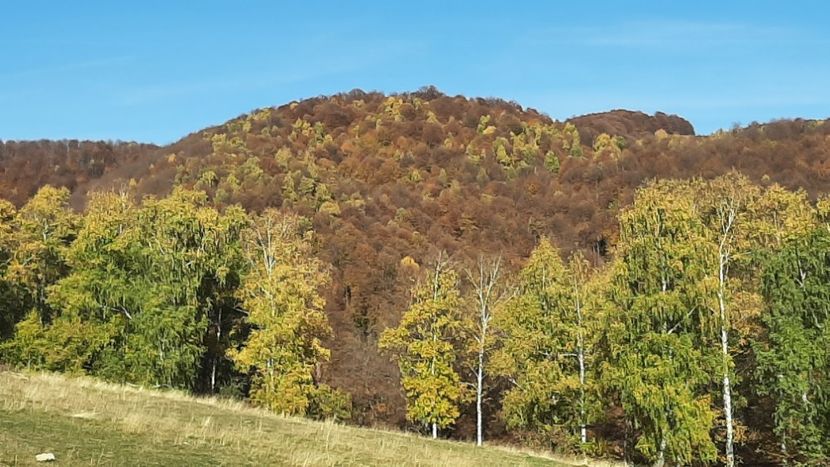  - Pe Transalpina în noiembrie 2022