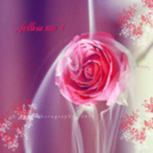 92973690_OLOWUZV - wild awake