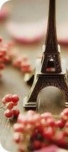 93477975_VBKJSXA-1 - wild awake