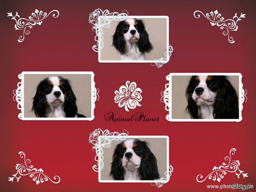 92637042_PEHPNAN3 - wild awake