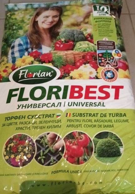 Data exacta a mutarii este 2 decembrie - Bombonelele gloxi