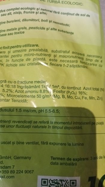 Pamant nou - Bombonelele gloxi