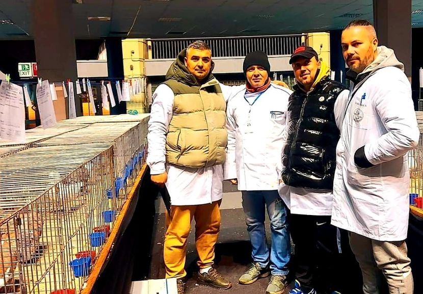 arbitraj Romexpo 2022 - CONTACT