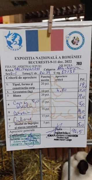 received_687489799585852 - A-IEPURI CALIFORNIENI