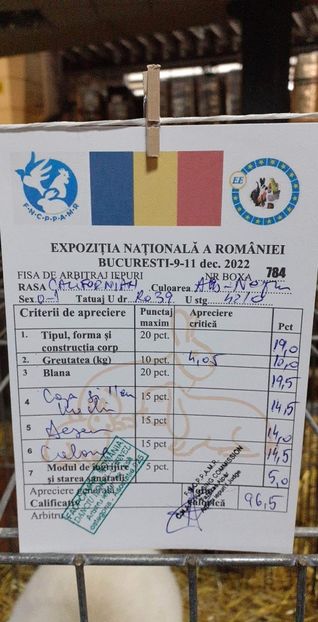 received_892000718634812 - A-IEPURI CALIFORNIENI