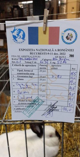 received_5901093073287689 - A-IEPURI CALIFORNIENI