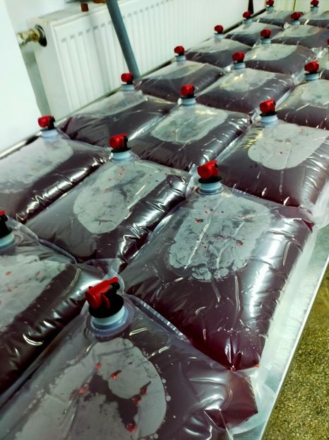 IMG20221111193045 - 2022 prajituri