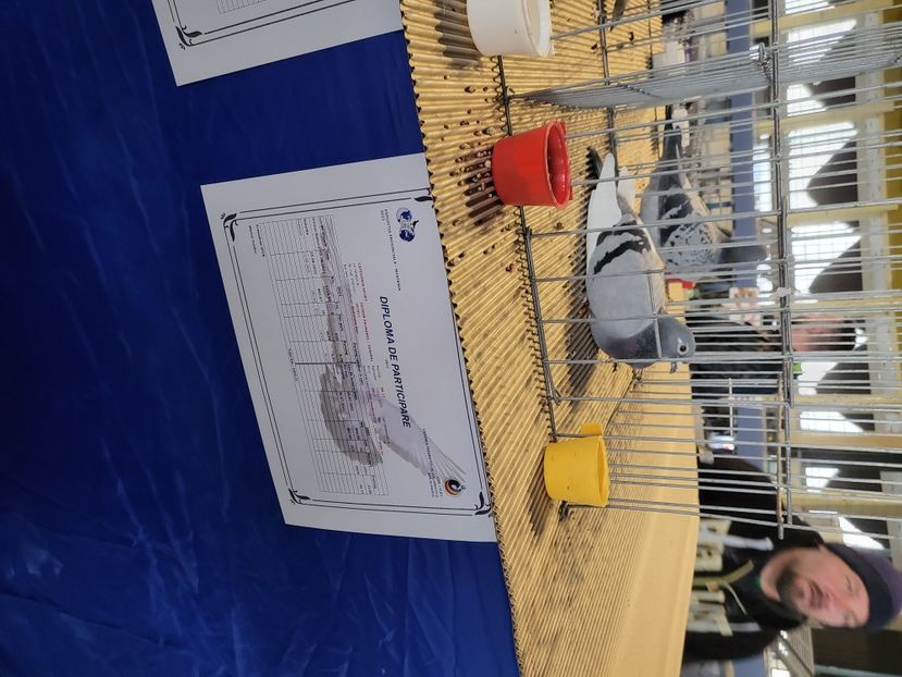  - 2022-DECEMBRIE-10-EXPOZITIE PROVINCIALA MUNTENIA-OLTENIA-COLUMBA-ROMEXPO