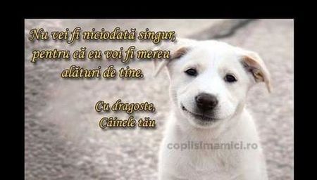  - citate fabuloase
