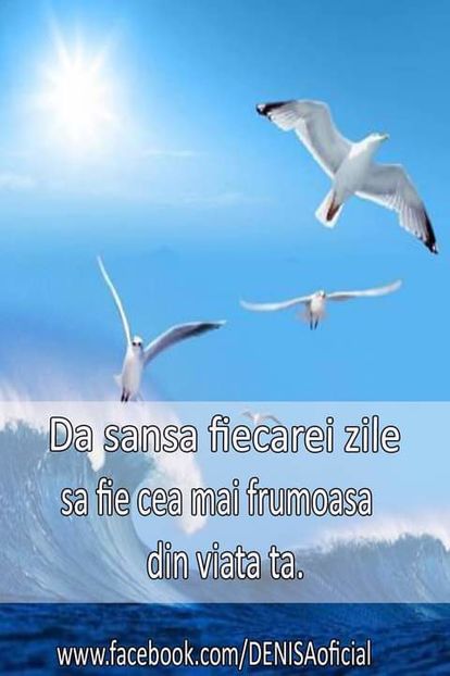 15731921_1486210908074223_415328686420608150_o-1 - citate fabuloase