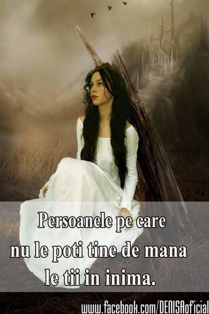 15591657_1476203225741658_5871015562100087842_o-1 - citate fabuloase