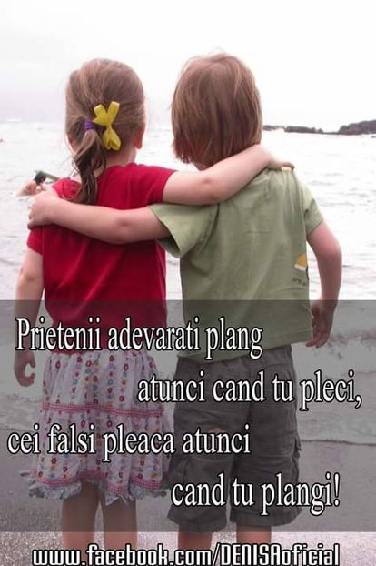 15585033_1474812832547364_6975712434501871470_o-1 - citate faine
