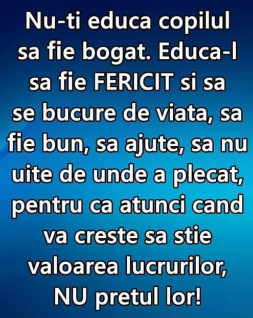 14657452_1400416459987002_3675255620134478566_n-1 - citate faine