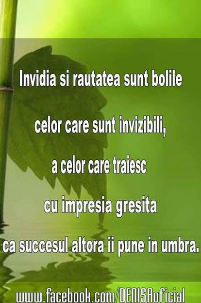 14212666_1355876001107715_4875379845101460551_n-1 - citate fanstastice
