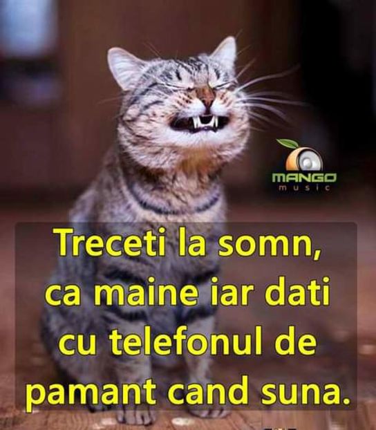 14184274_1354280921267223_8717559928842881565_n-1 - citate fanstastice