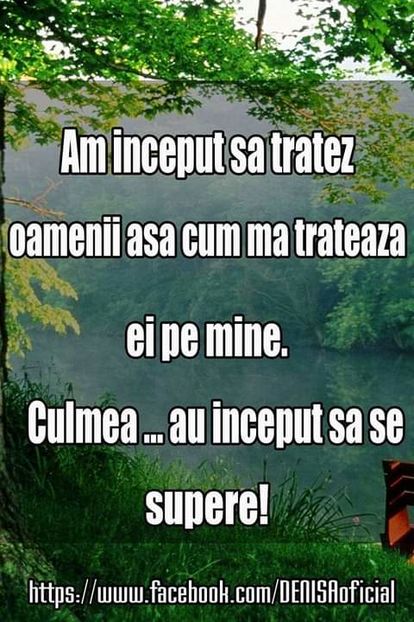 13692446_1312421818786467_5156016442685310529_n-1 - citate fanstastice