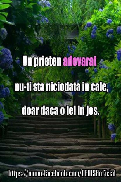 13669696_1311822685513047_5166771128047676247_n-1 - citate fanstastice