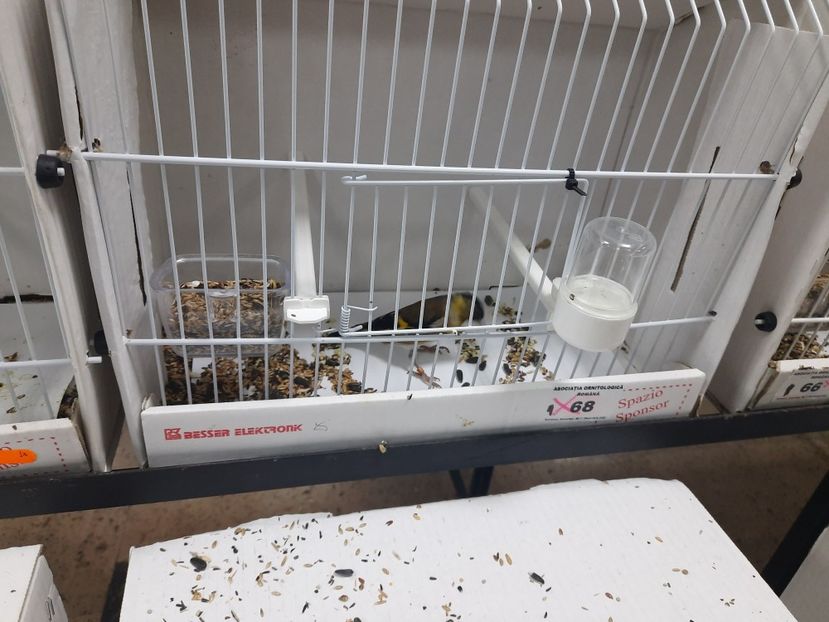  - Expo aor si ccf 2022