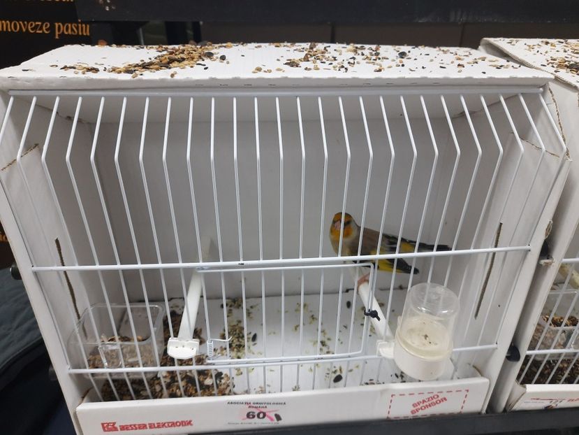  - Expo aor si ccf 2022