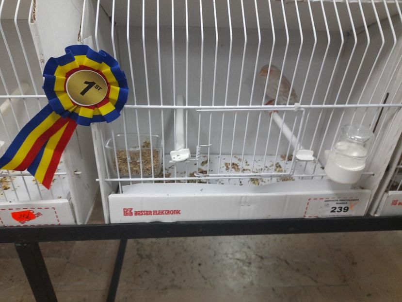  - Expo aor si ccf 2022