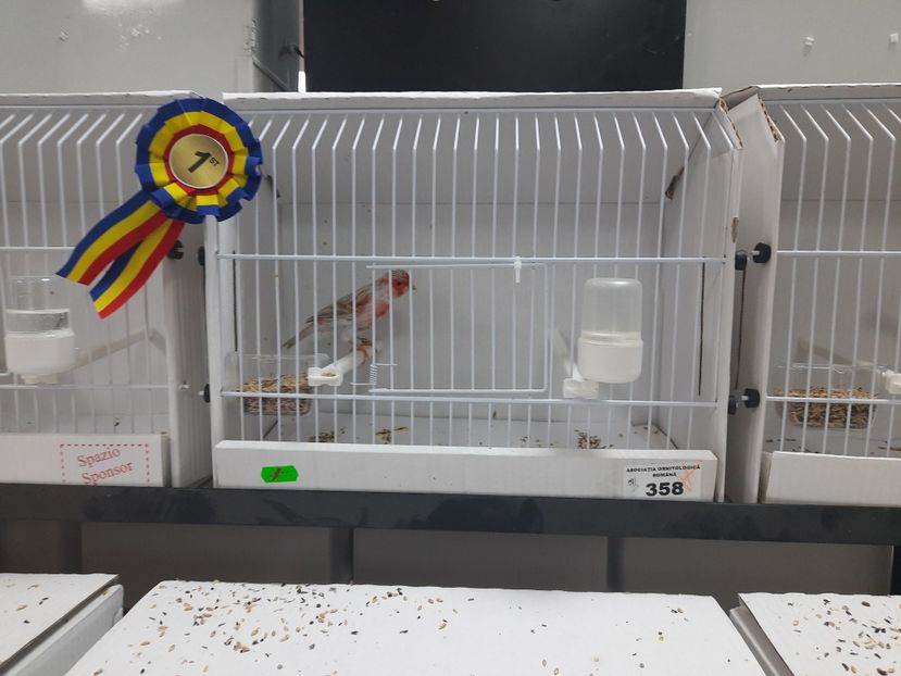  - Expo aor si ccf 2022