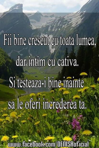 13645132_1308182919210357_2259674355895306857_n-1 - citate fanstastice