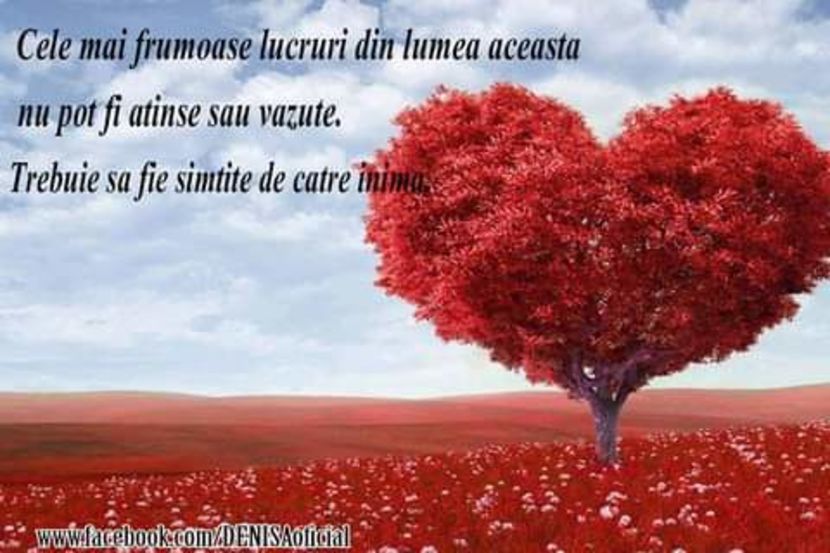  - citate magnifice magice