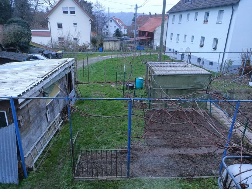 Img.2022.12.10 - A doua grădină