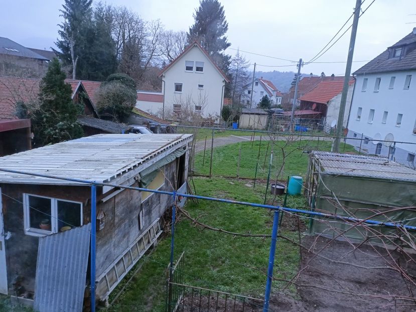 Img.2022.12.10 - A doua grădină
