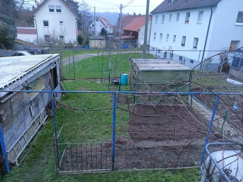 Img.2022.12.10 - A doua grădină
