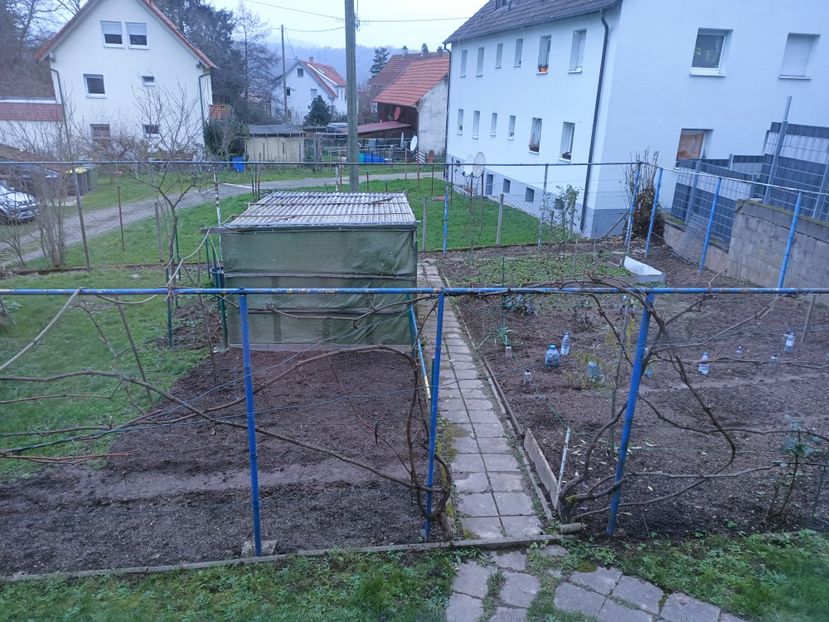 Img.2022.12.10 - A doua grădină