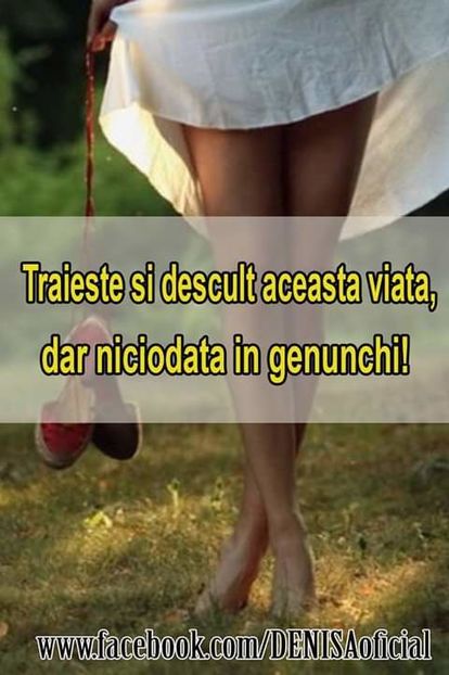  - citate minunate