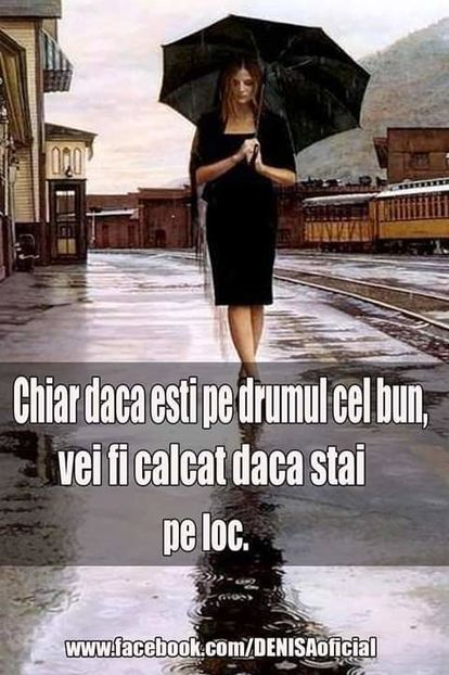  - citate show