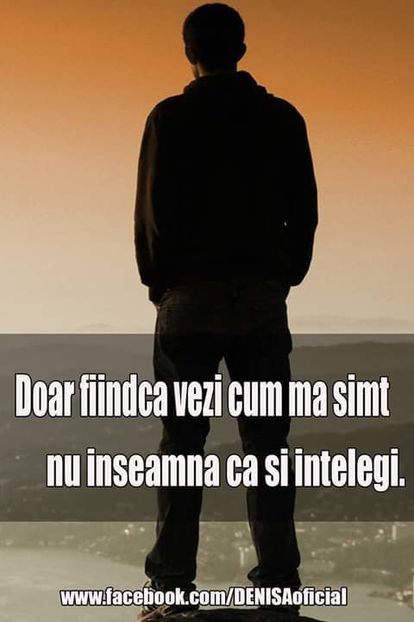  - citate show