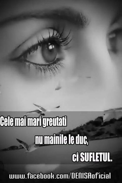  - citate show