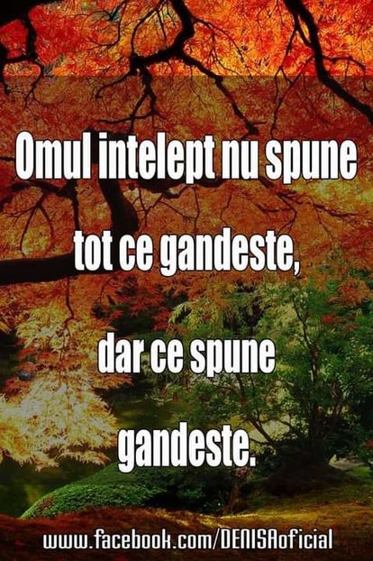  - citate minunate wow