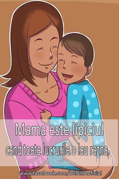 15732400_1484425574919423_388628578501910141_o - citate superbe